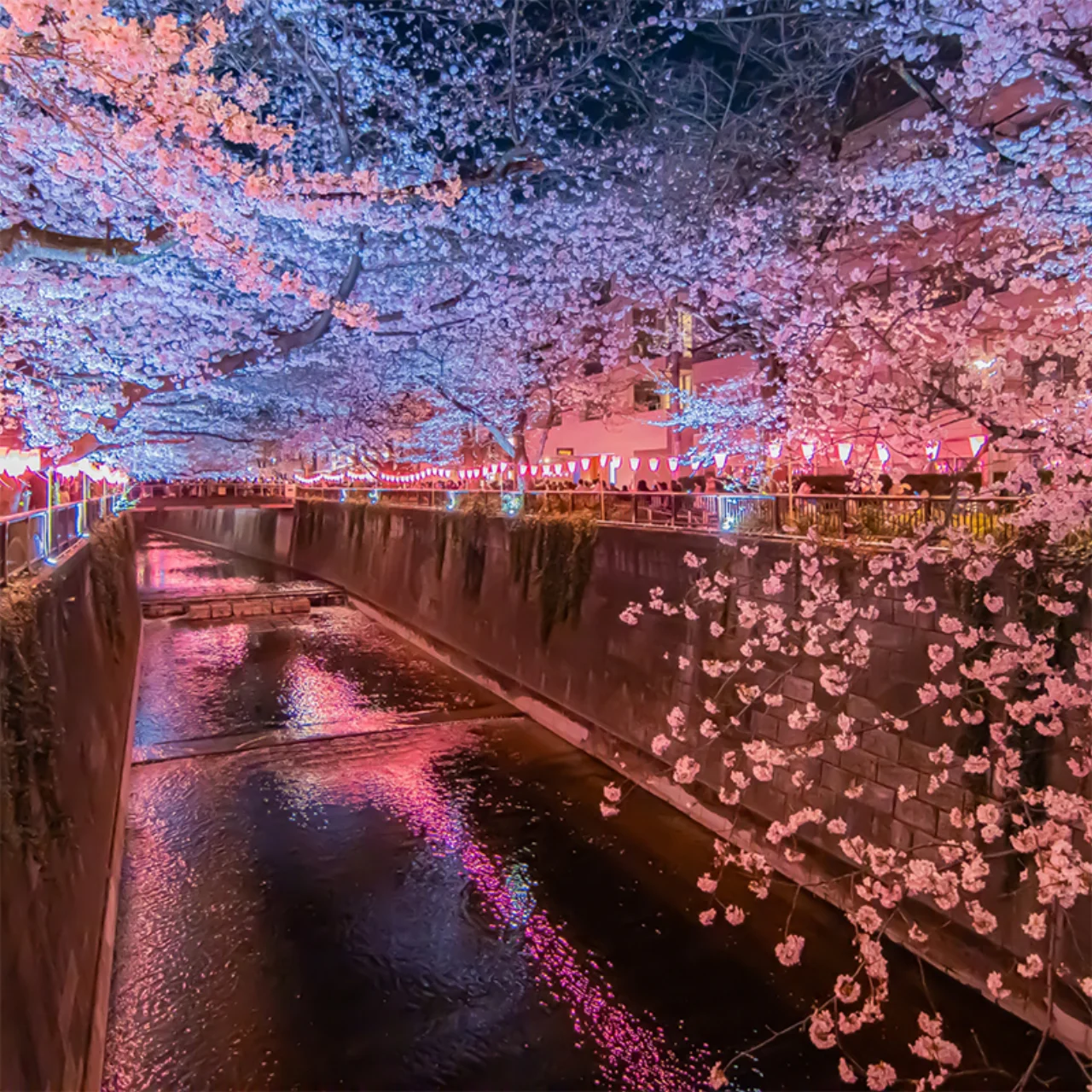 品川/目黒エリア