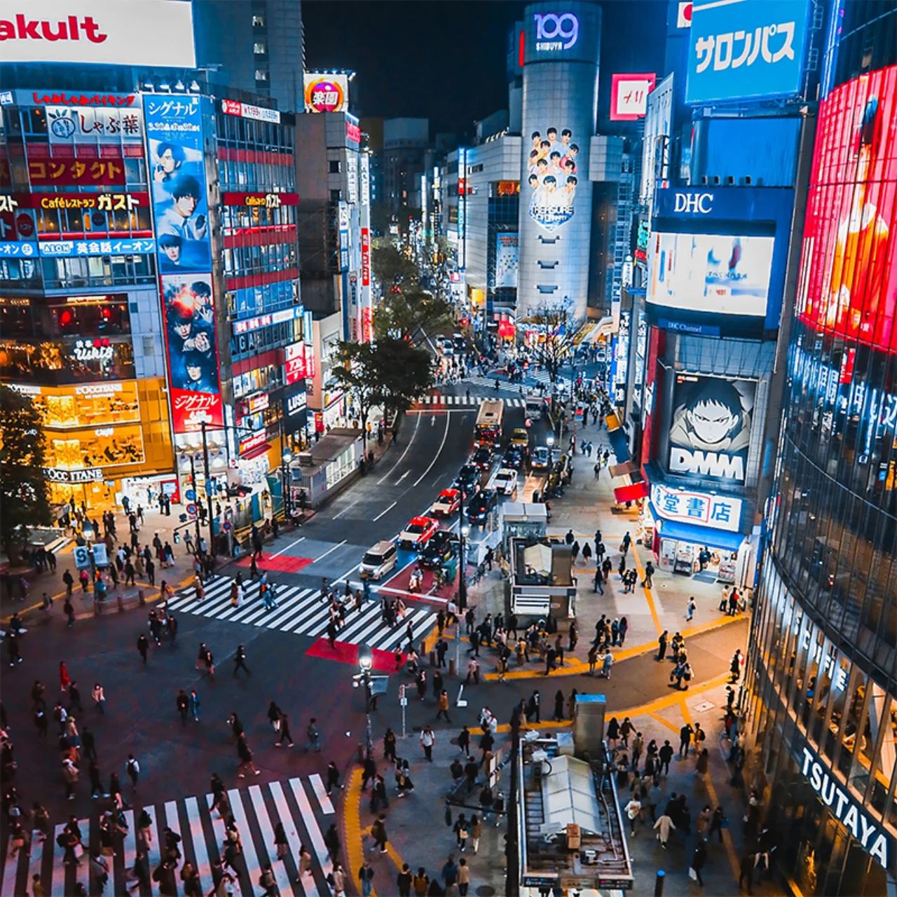 新宿/渋谷エリア